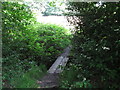 Footbridge over a stream on Hampstead Heath Extension