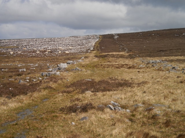 The old road: sheep and stones