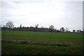 Farmland by Knowle Lane