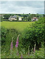 Field towards Handley Lane