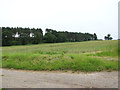 Field and strip woodland by Brick Kiln Farm