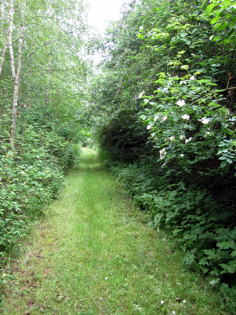 Path to Leys Farm