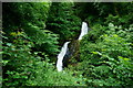 SH6504 : Dolgoch Falls, Gwynedd by Peter Trimming