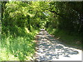 Lane from Torhill Cross