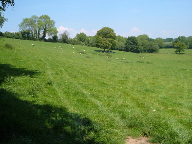 Pasture near Well Farm