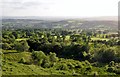 Mid Devon : Green Countryside