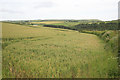 Rural East Cornwall from nr Whitecross