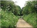 Former ironstone railway cutting near Lowick