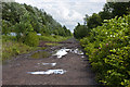 A track on Wigg Island alongside the Manchester Ship Canal which is out of sight to the right