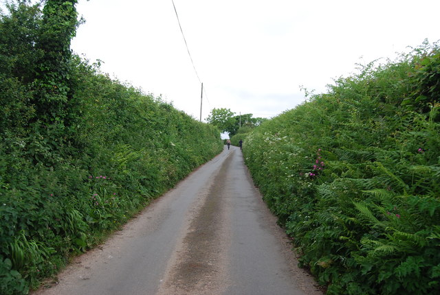 Narrow Country Lane © N Chadwick cc-by-sa/2.0 :: Geograph Britain and ...