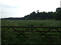 Field entrance near Home Dairy Farm