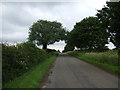 Minor road heading east towards Sproxton