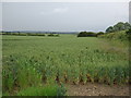 Farmland near Whissendine