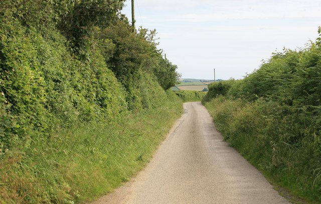 Cornish lane leading towards Lerryn