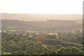 Mid Devon : Countryside Scenery