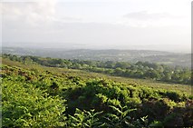 ST1116 : Mid Devon : Countryside Scenery by Lewis Clarke