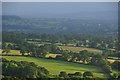 ST1116 : Mid Devon : Grassy Fields & Trees by Lewis Clarke