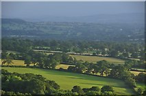 ST1116 : Mid Devon : Grassy Fields & Trees by Lewis Clarke