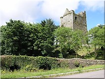 W2850 : Ballynacarriga Castle by Hywel Williams