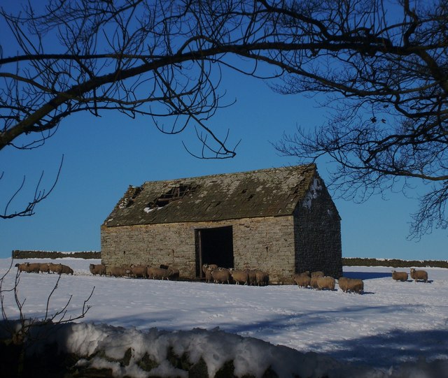 Keenley, Northumberland