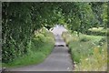 Taunton Deane : Countryside Road