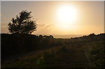 ST1116 : Mid Devon : Sampford Common Sunset by Michael T Wilson