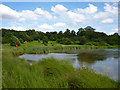 Bedfords Park Lake