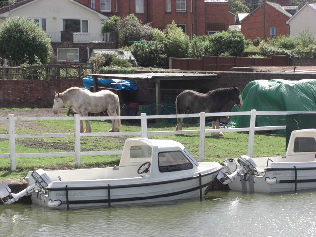 Grand Western Canal Horses