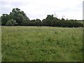 Farmland, South Luffenham