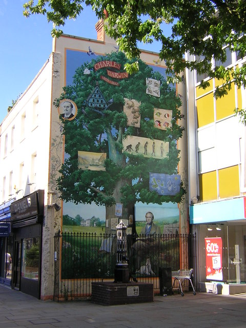 Charles Darwin Mural Central Bromley © Christopher Hilton Geograph