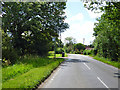 Tye Lodge bus stop