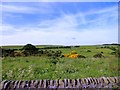 View west from beside the A68