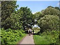 Cuckoo Trail near Hellingly