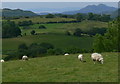 View west into the Vale of Ffestiniog