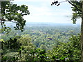 View of the west from Richmond Park #5