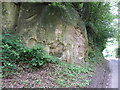 Rock carvings on the road south to Nyewood