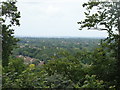 View of the west from Richmond Park #7