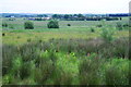 Rough grazing land near Birch Industrial Estate