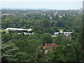 View of the west from Richmond Park #8