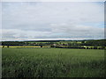 Firbeck  from  Salt  Hill