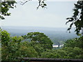 View of the inky landscape from Richmond Park