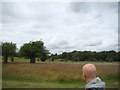 View of the St Matthias Church, Kings Road from Richmond Park