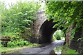 Armathwaite side of railway bridge near Hazel Cottage