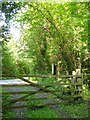 Footpath meeting road near Craydon