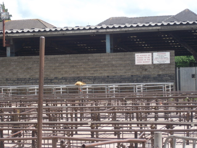Abergavenny Livestock Market