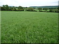 Footpath line across fields