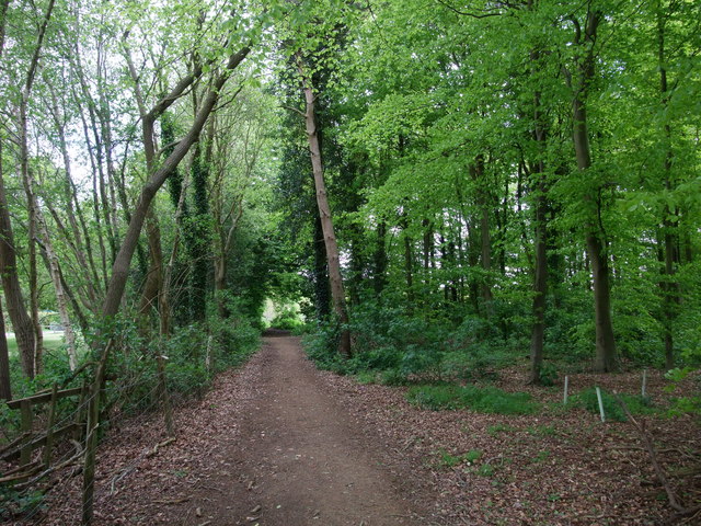 The 1066 Country Walk in woods by the... © Tim Heaton cc-by-sa/2.0 ...