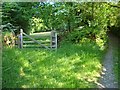 Gate and bridleway on Cosdon Hill