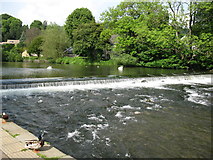 SK2168 : Weir on River Wye at Bakewell by don cload