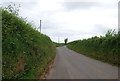 Lane to Dittiscombe Cross